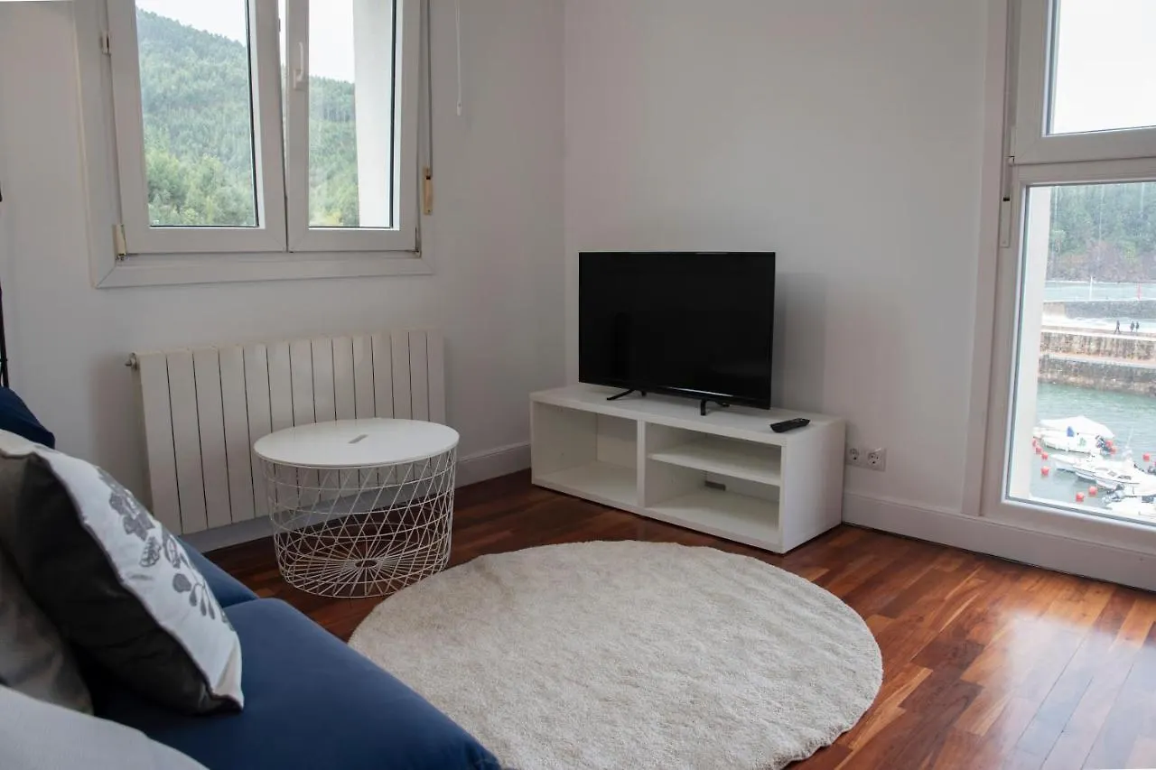Atsedenportua Apartment Arminza